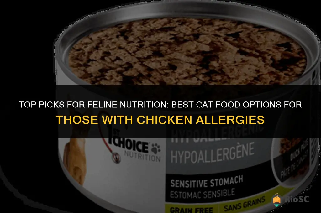 best cat food for chicken allergy
