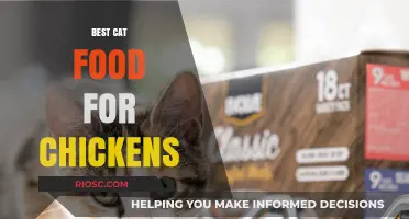 Exploring the Benefits of Feline Cuisine for Your Feathered Friends: A Guide to the Best Cat Food for Chickens