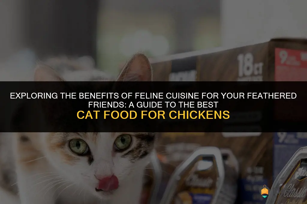 best cat food for chickens