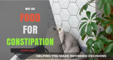 Top Picks for the Best Cat Food to Alleviate Constipation