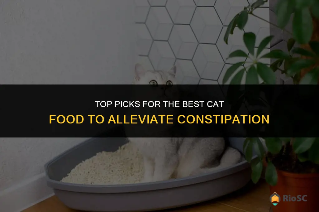 best cat food for constipation