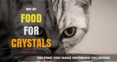 Top-Rated Cat Foods to Prevent Crystal Formation: A Comprehensive Guide for Feline Health
