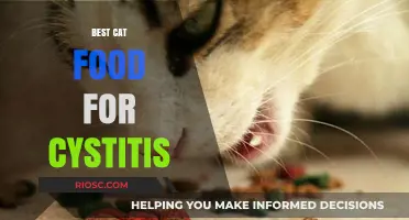 Top Picks for Feline Friends: The Best Cat Food to Help Manage Cystitis