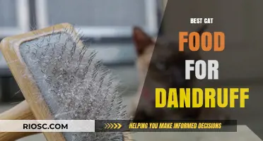 Feline Dandruff No More: Discover the Best Cat Food for a Flake-Free Coat