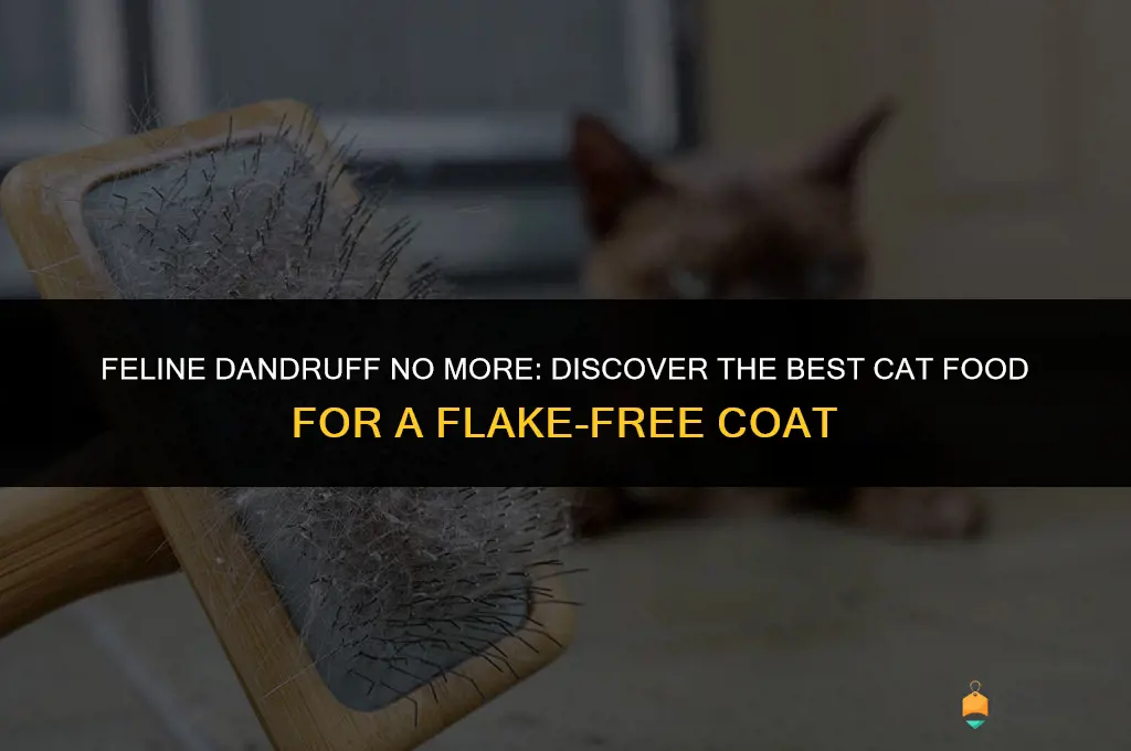 best cat food for dandruff