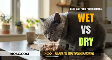 Exploring the Best Cat Food Options for Diarrhea: Wet vs Dry - A Comprehensive Guide
