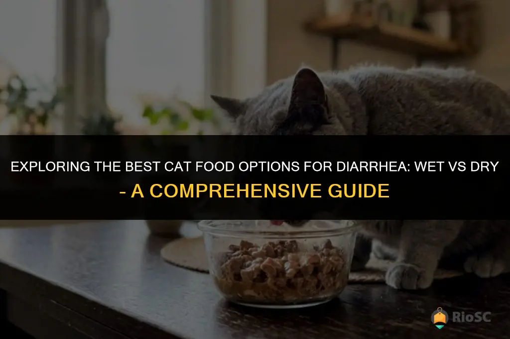 best cat food for diarrhea wet vs dry