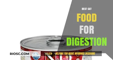 Digestive Delight: Top Cat Food Choices for a Healthy Tummy