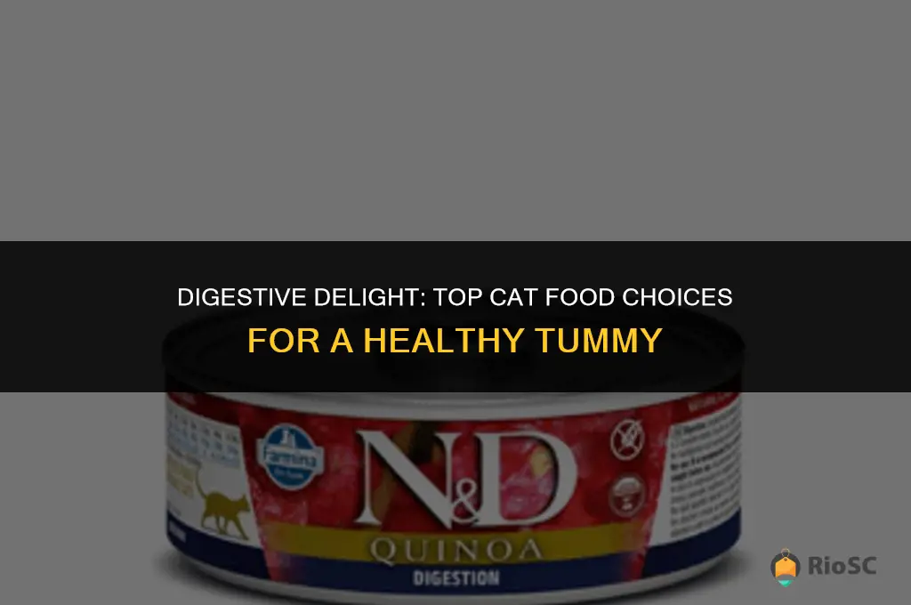 best cat food for digestion