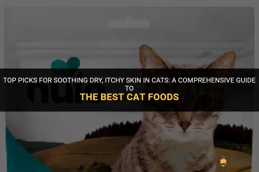 best cat food for dry itchy skin