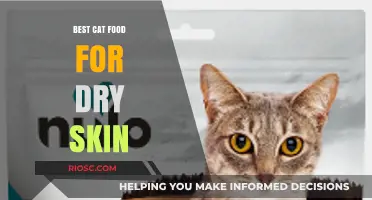 Top Picks for Feline Hydration: Best Cat Food to Combat Dry Skin