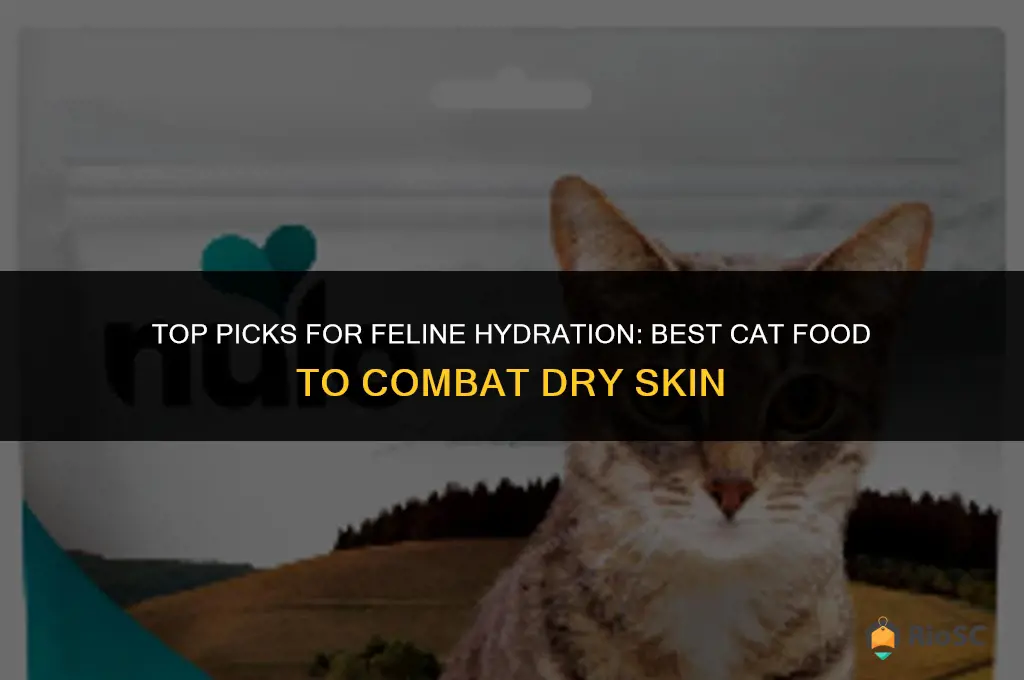 best cat food for dry skin