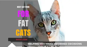 Slimming Down Your Feline Friend: The Ultimate Guide to the Best Cat Food for Overweight Cats