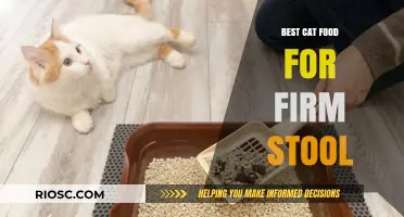 Top Picks for Feline Firmness: The Best Cat Foods for a Healthy Digestive Tract