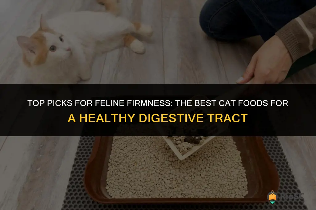 best cat food for firm stool
