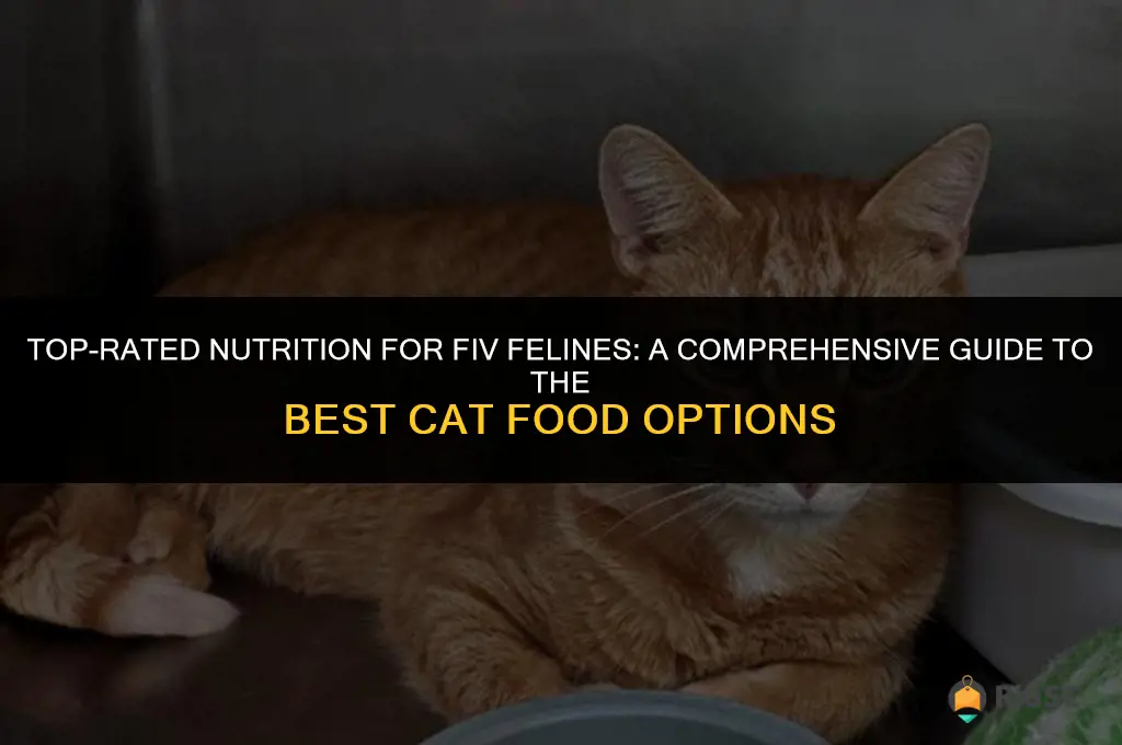 best cat food for fiv cats