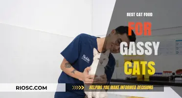 Purr-fectly Balanced: The Ultimate Guide to Choosing the Best Cat Food for Gassy Felines