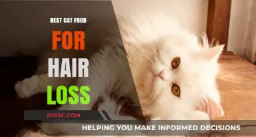 Feline Hair Loss: Top Cat Food Choices to Promote a Healthier Coat