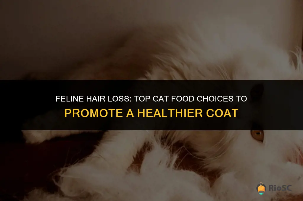 best cat food for hair loss