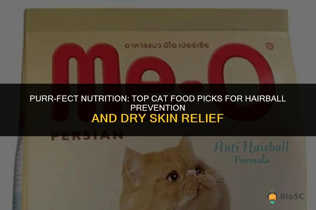 best cat food for hairballs and dry skin