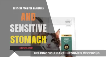 Purr-fectly Gentle: Top Cat Food Picks for Hairballs and Sensitive Tummies