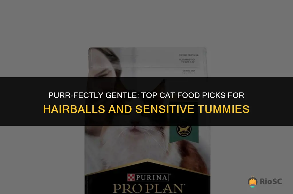 best cat food for hairballs and sensitive stomach
