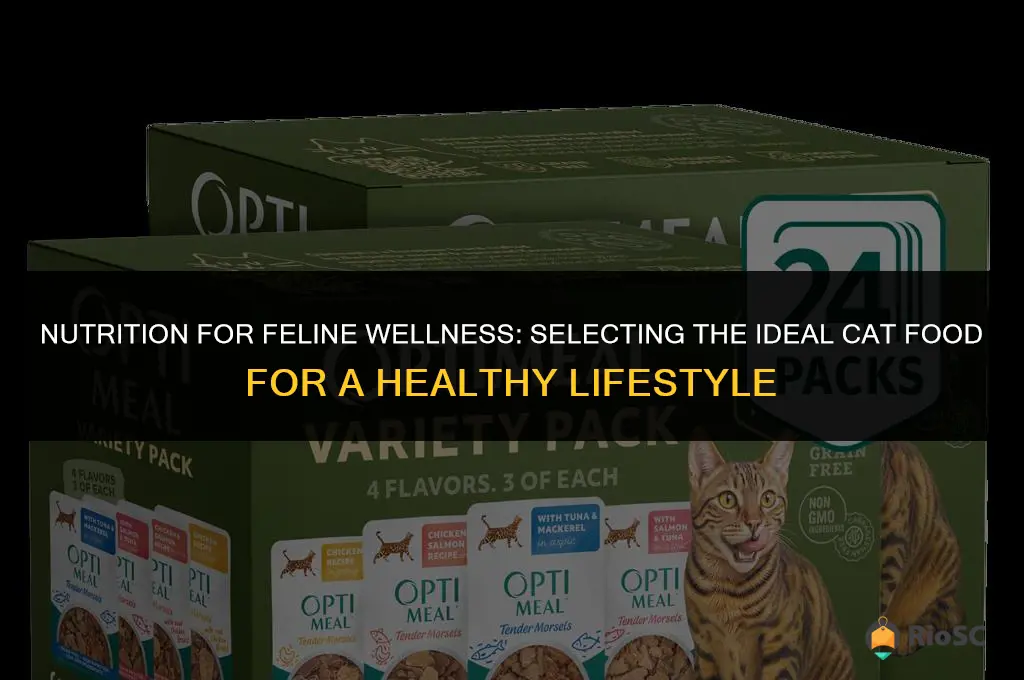 best cat food for healthy cats