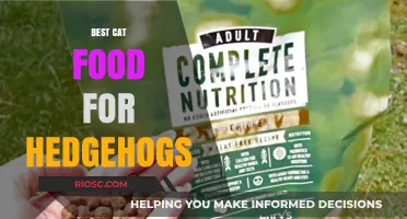 Exploring the Purr-fect Diet: Best Cat Food Options for Hedgehog Health