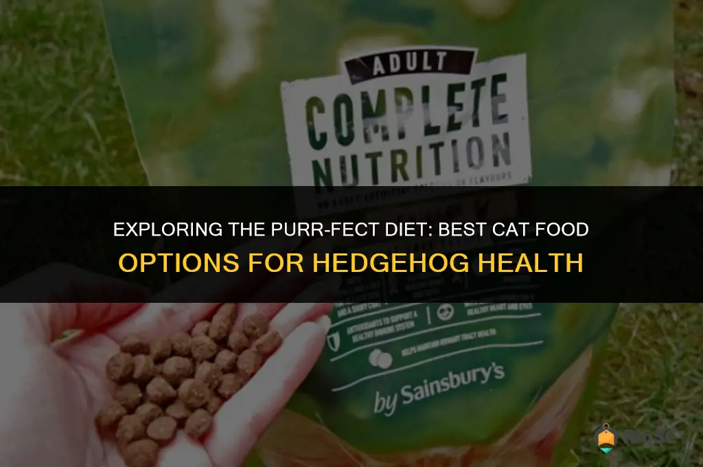 best cat food for hedgehogs