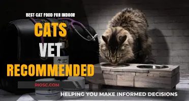 Top Vet-Recommended Cat Food Choices for Indoor Feline Friends