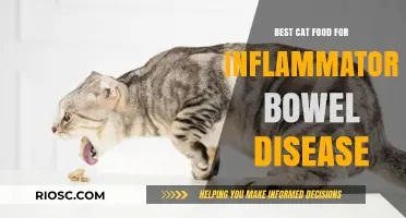 Top Picks for Feline Nutrition: Managing Inflammatory Bowel Disease in Cats