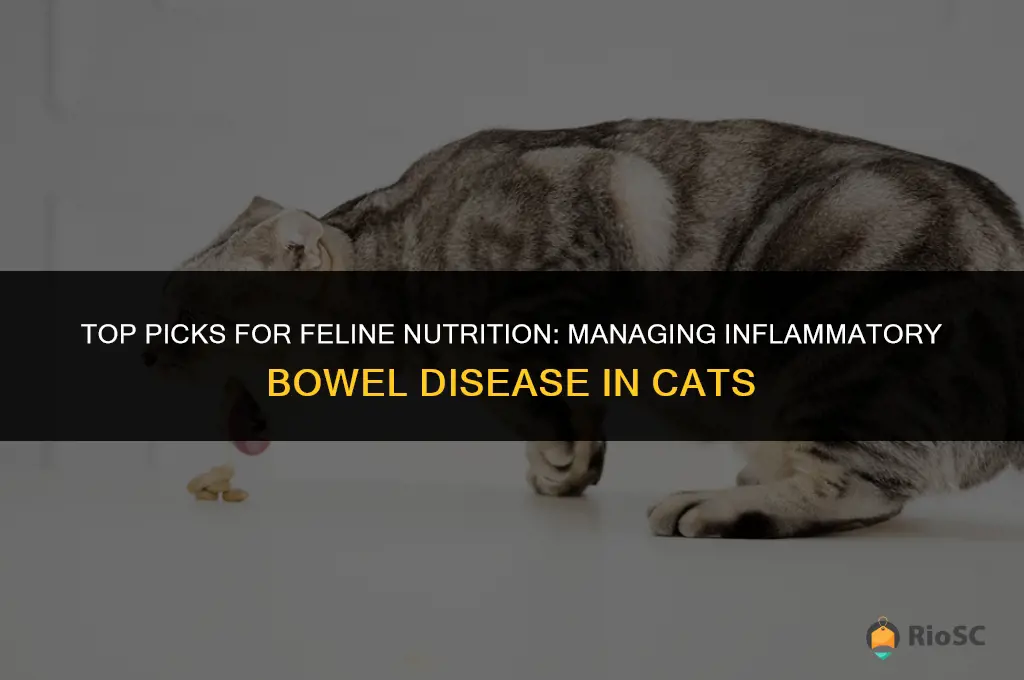 best cat food for inflammatory bowel disease