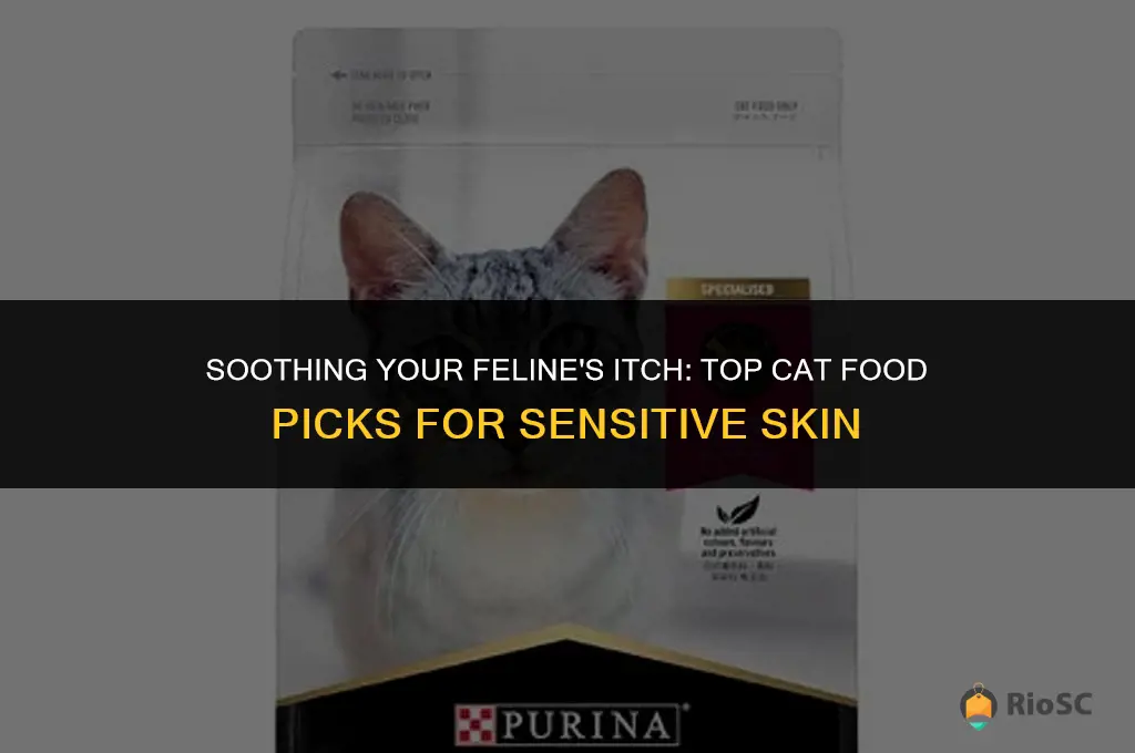best cat food for itchy skin