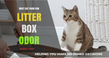 Freshen Up: Top Cat Foods to Combat Litter Box Odor