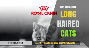 Purr-fect Nutrition: Unveiling the Best Cat Food for Long-Haired Felines