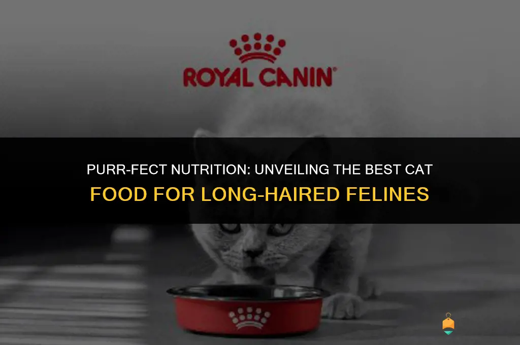 best cat food for long haired cats