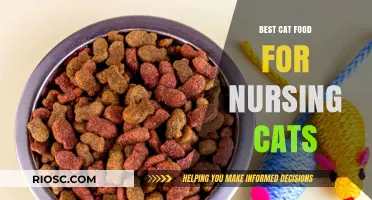 Top-Rated Nutrition for Nursing Cats: A Comprehensive Guide to Supporting Your Feline's Health During Lactation