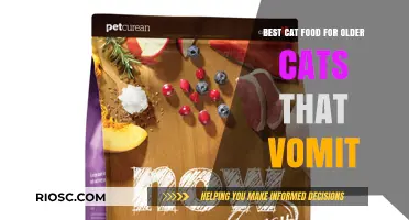 Top Picks for Gentle Nutrition: Best Cat Food Options for Senior Cats Prone to Vomiting