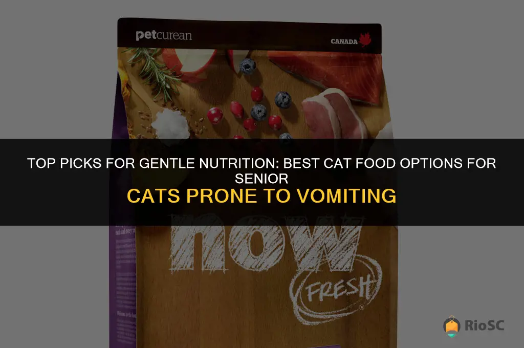 best cat food for older cats that vomit