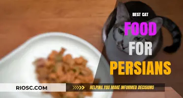Top-Rated Nutrition for Persian Cats: A Comprehensive Guide to the Best Cat Food Options