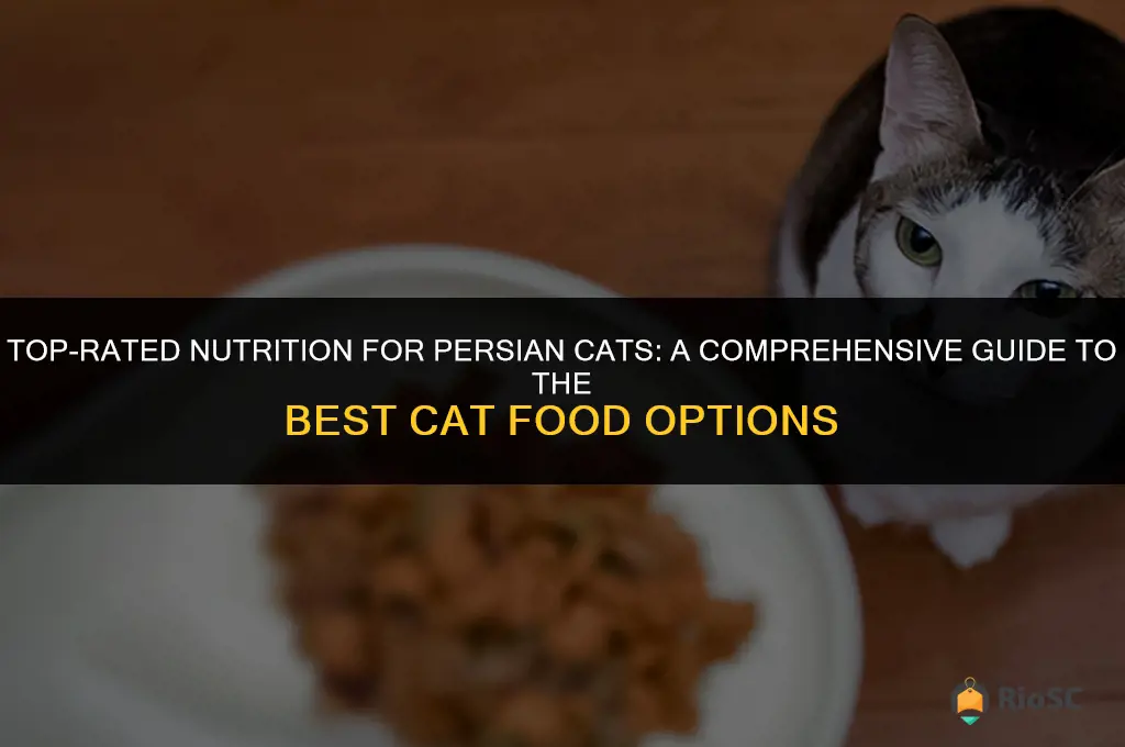 best cat food for persians