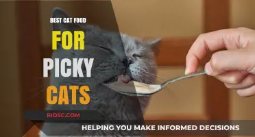Top Picks for Picky Eaters: The Best Cat Food to Satisfy Your Fussy Feline