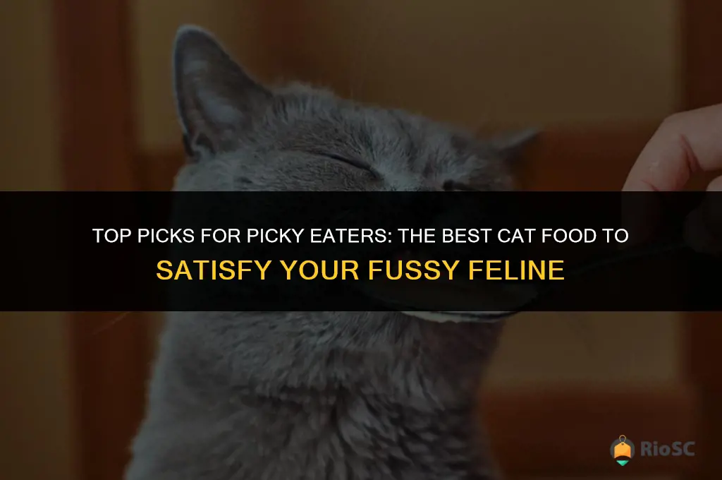 best cat food for picky cats