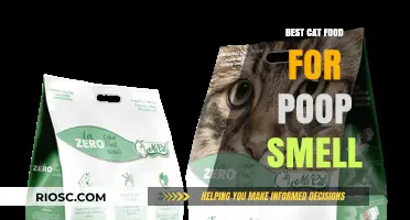 Purr-fectly Odorless: Top Cat Food Choices to Tackle Poop Smell