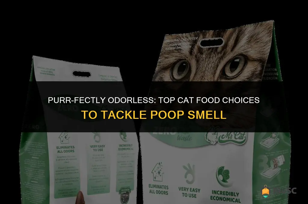 best cat food for poop smell