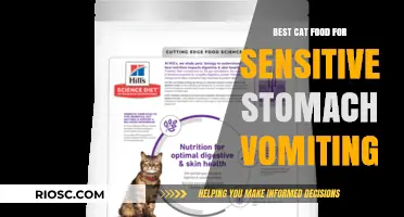 Gentle on the Tummy: Top Picks for Cat Food That Soothes Sensitive Stomachs and Reduces Vomiting