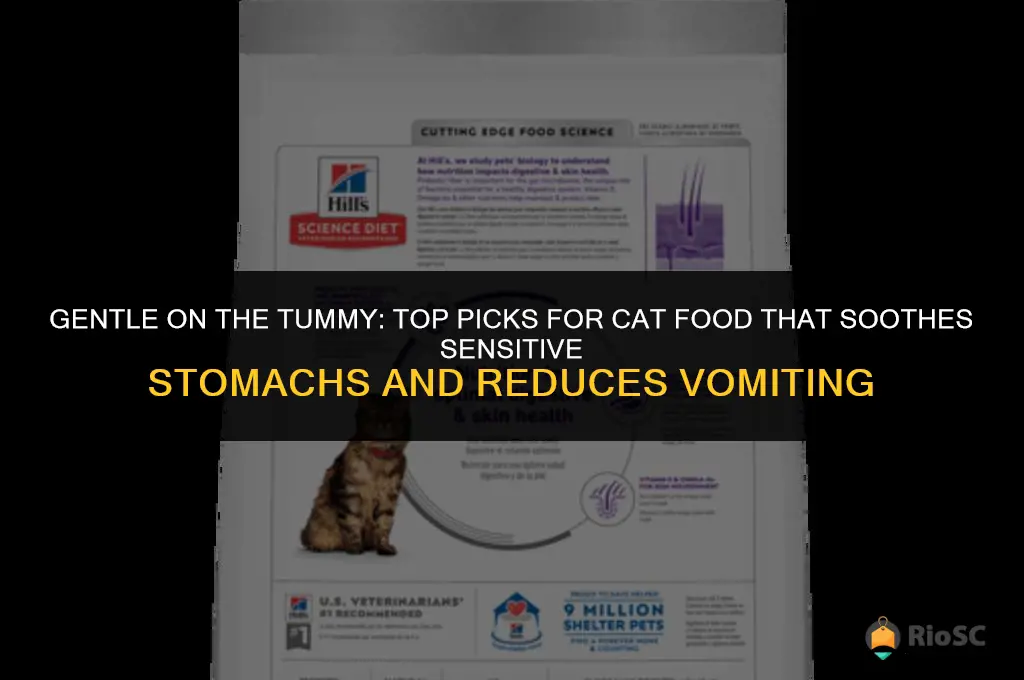 best cat food for sensitive stomach vomiting