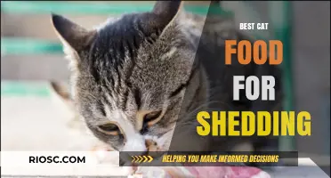 Purr-fectly Balanced: The Ultimate Guide to Cat Food for Shedding