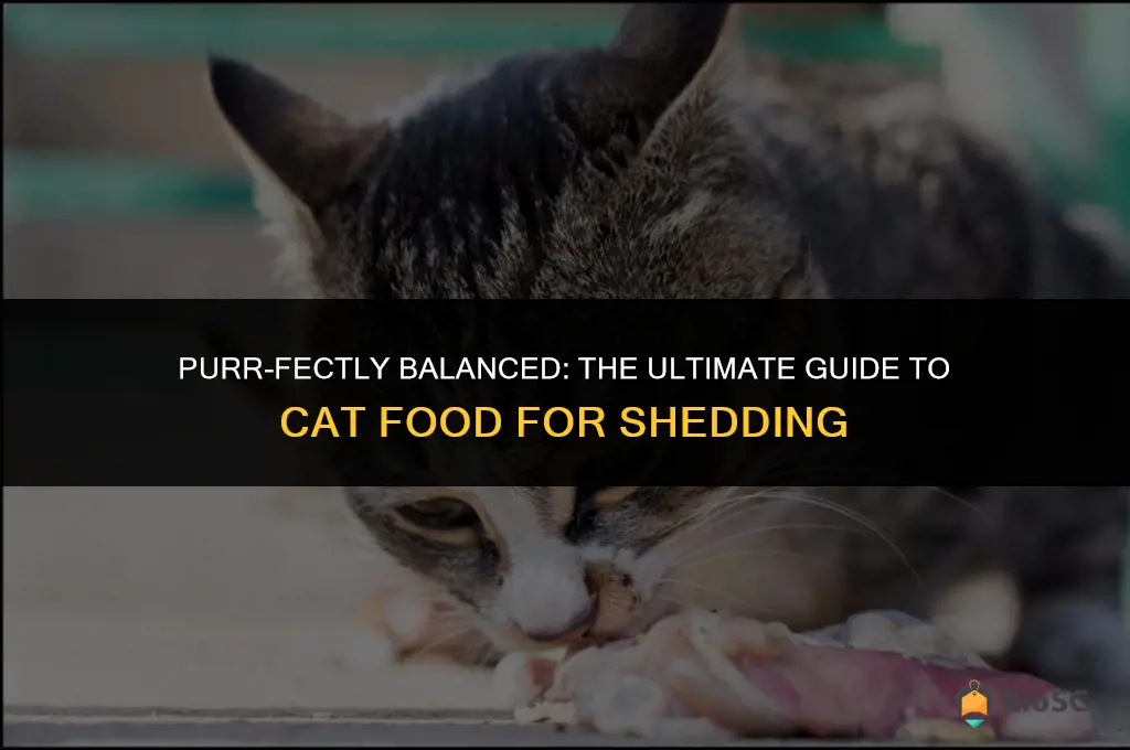 best cat food for shedding