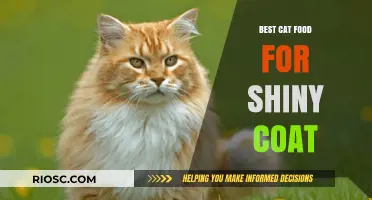 Purr-fectly Shiny: Unveiling the Best Cat Food for a Lustrous Coat